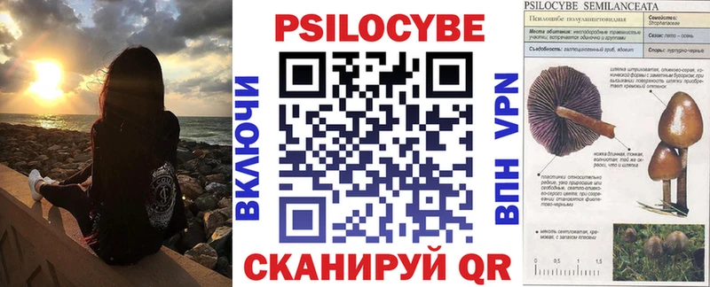 Псилоцибиновые грибы Cubensis сайты даркнета какой сайт Чаплыгин